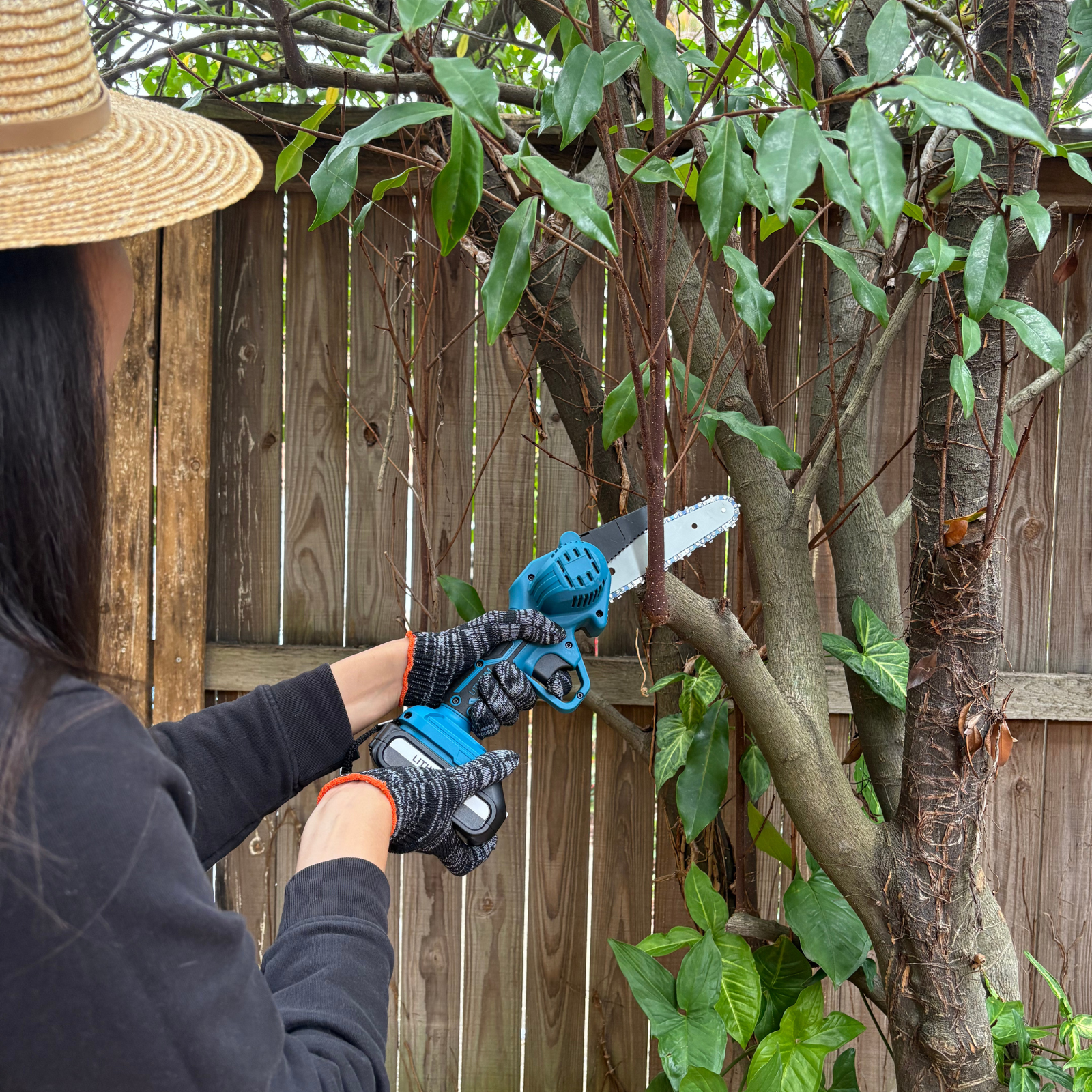 6" Mini Cordless Chainsaw