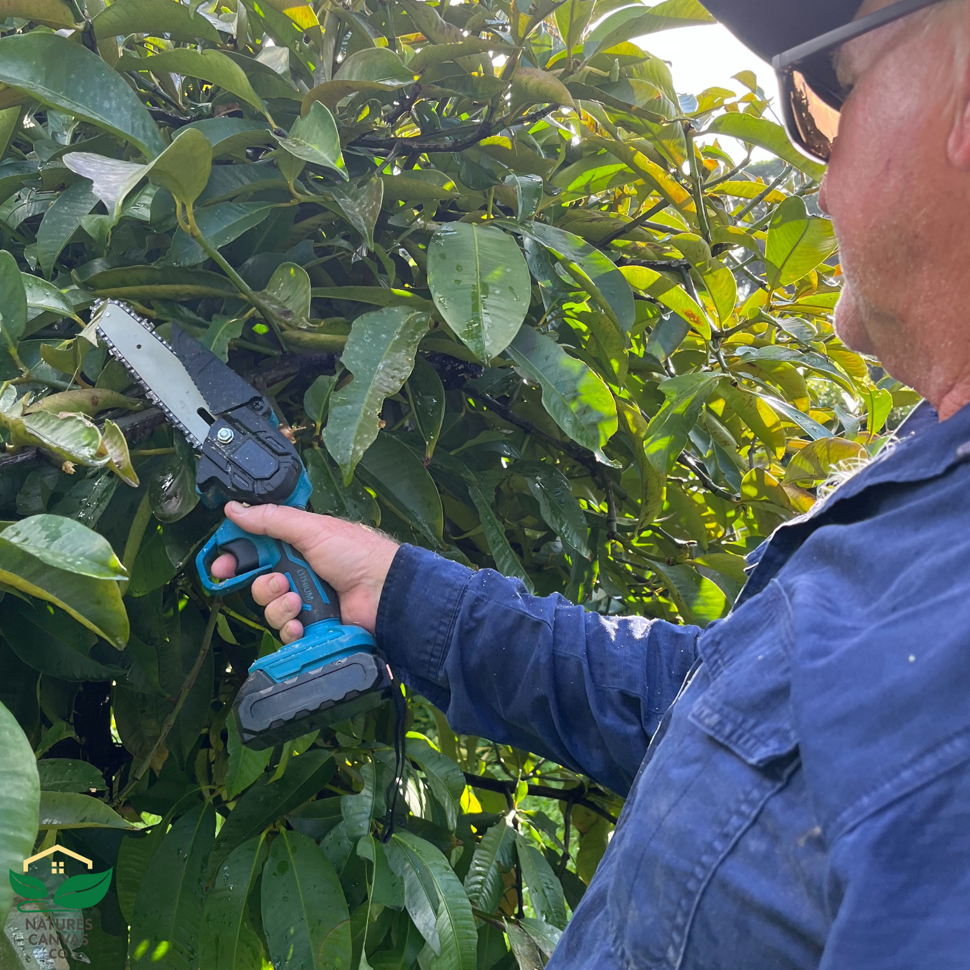 6" Mini Cordless Chainsaw